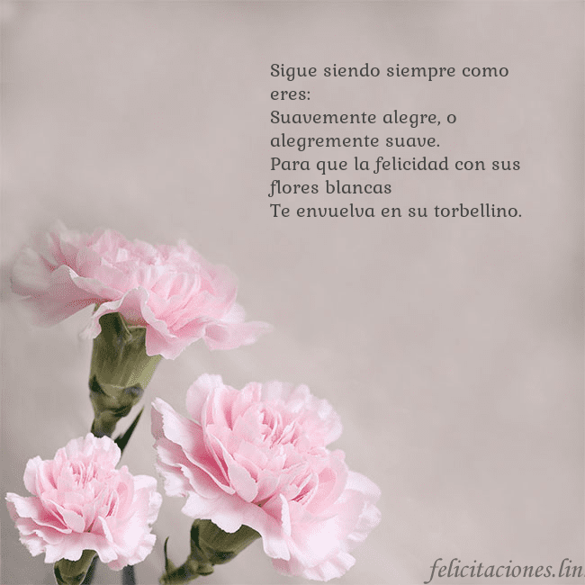 Tarjeta de cumpleaños con claveles rosas