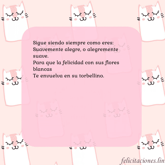 Tarjeta de cumpleaños rosa con gatos divertidos Sigue siendo siempre como eres:
Suavemente alegre, Tarjeta de cumpleaños rosa con gatos divertidos