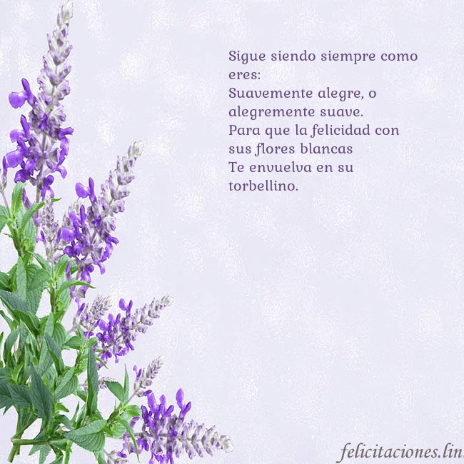 Tarjeta de cumpleaños con altramuces azules Sigue siendo siempre como eres:
Suavemente alegre, Tarjeta de cumpleaños con altramuces azules