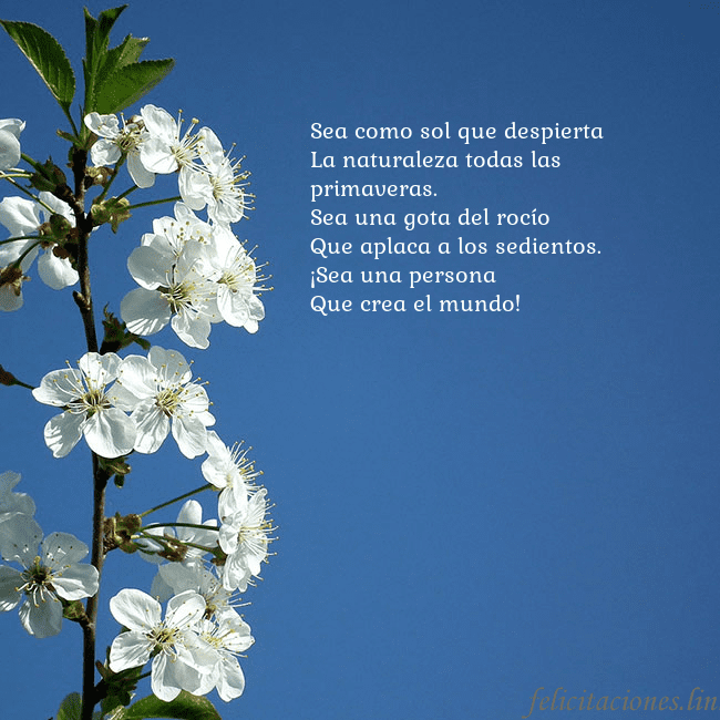 Tarjeta de cumpleaños con flores de primavera Sea como sol que despierta
La naturaleza todas la Tarjeta de cumpleaños con flores de primavera