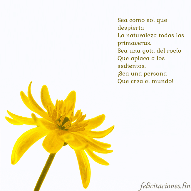 Tarjeta de cumpleaños con flor amarilla Sea como sol que despierta
La naturaleza todas la Tarjeta de cumpleaños con flor amarilla