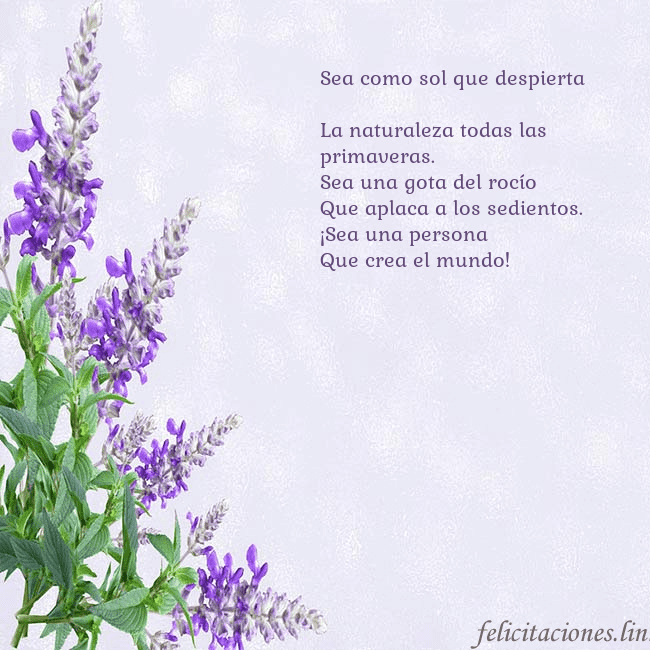 Tarjeta de cumpleaños con altramuces azules Sea como sol que despierta
La naturaleza todas la Tarjeta de cumpleaños con altramuces azules