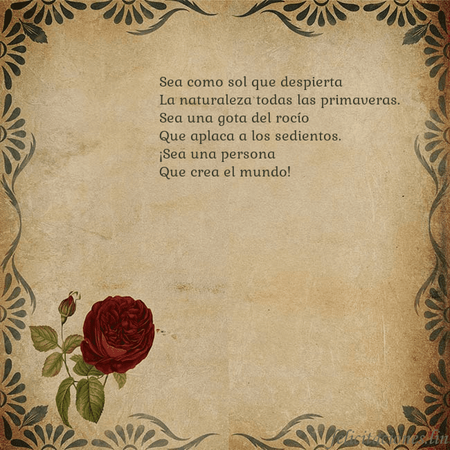Postal vintage con una rosa Sea como sol que despierta
La naturaleza todas la Postal vintage con una rosa