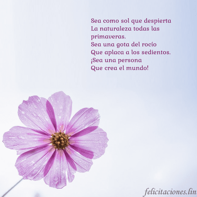 Tarjeta electrónica con flor morada Sea como sol que despierta
La naturaleza todas la Tarjeta electrónica con flor morada