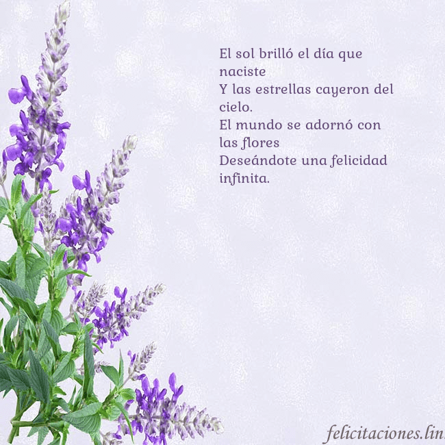 Tarjeta de cumpleaños con altramuces azules El sol brilló el día que naciste
Y las estrellas c Tarjeta de cumpleaños con altramuces azules