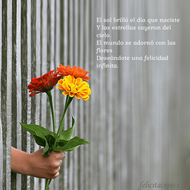 Tarjeta electrónica con ramo de flores El sol brilló el día que naciste
Y las estrellas c Tarjeta electrónica con ramo de flores