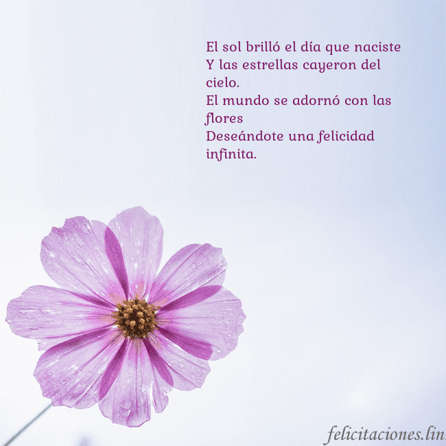 Tarjeta electrónica con flor morada El sol brilló el día que naciste
Y las estrellas c Tarjeta electrónica con flor morada