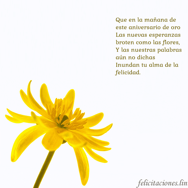 Tarjeta de cumpleaños con flor amarilla Que en la mañana de este aniversario de oro
Las nu Tarjeta de cumpleaños con flor amarilla