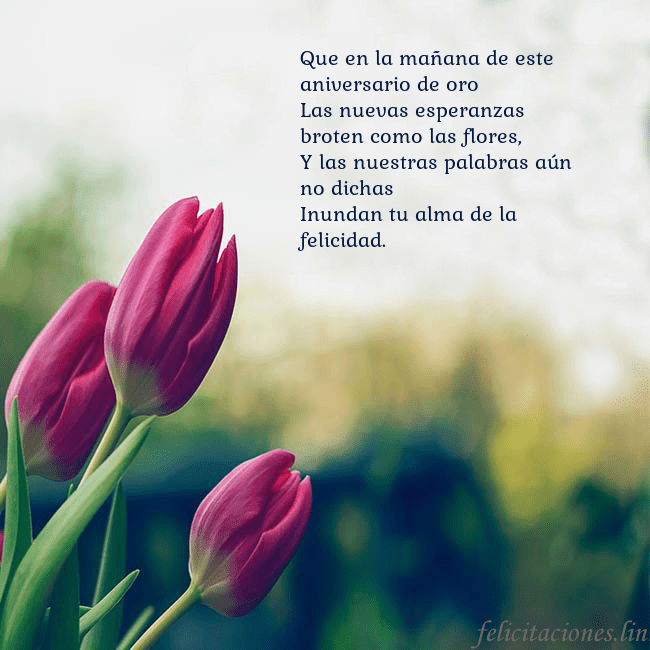 Tarjeta de cumpleaños con tres tulipanes rojos Que en la mañana de este aniversario de oro
Las nu Tarjeta de cumpleaños con tres tulipanes rojos