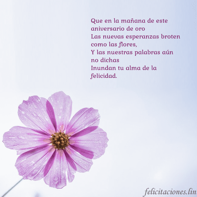 Tarjeta electrónica con flor morada Que en la mañana de este aniversario de oro
Las nu Tarjeta electrónica con flor morada
