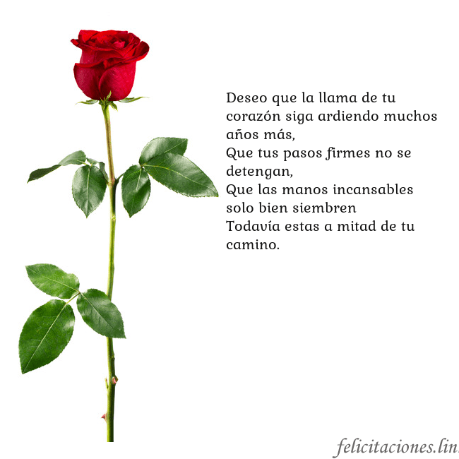 Tarjeta con una rosa roja