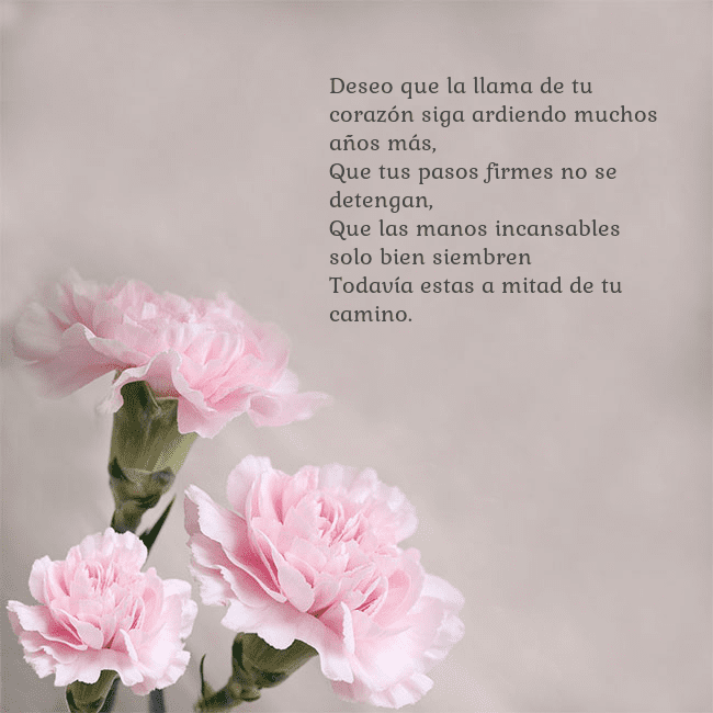 Tarjeta de cumpleaños con claveles rosas Deseo que la llama de tu corazón siga ardiendo muc Tarjeta de cumpleaños con claveles rosas