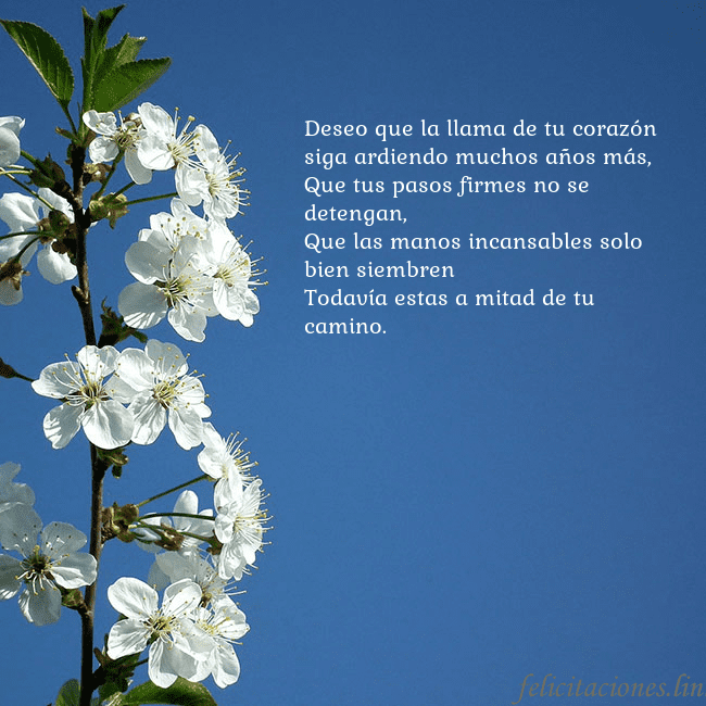 Tarjeta de cumpleaños con flores de primavera Deseo que la llama de tu corazón siga ardiendo muc Tarjeta de cumpleaños con flores de primavera