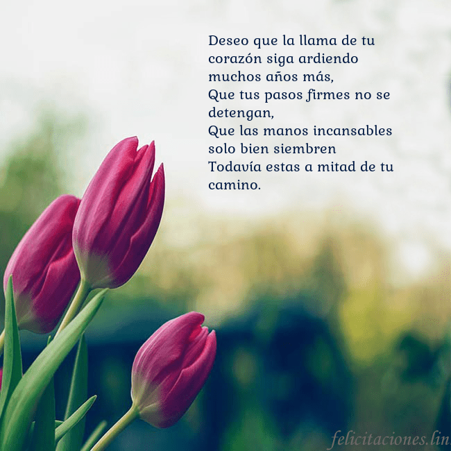 Tarjeta de cumpleaños con tres tulipanes rojos Deseo que la llama de tu corazón siga ardiendo muc Tarjeta de cumpleaños con tres tulipanes rojos