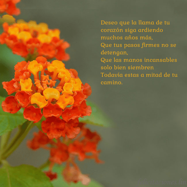 Tarjeta de cumpleaños con flores naranjas Deseo que la llama de tu corazón siga ardiendo muc Tarjeta de cumpleaños con flores naranjas