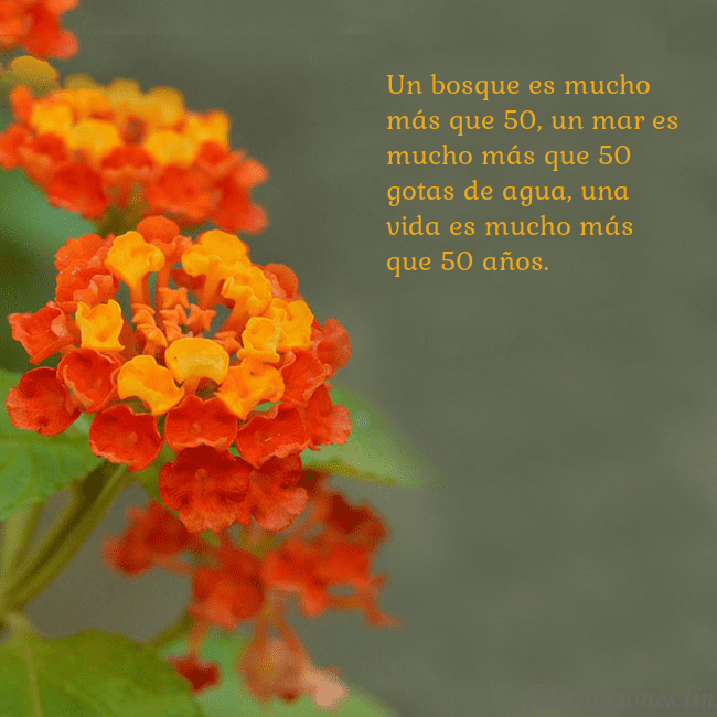 Tarjeta de cumpleaños con flores naranjas Un bosque es mucho más que 50, un mar es mucho más Tarjeta de cumpleaños con flores naranjas