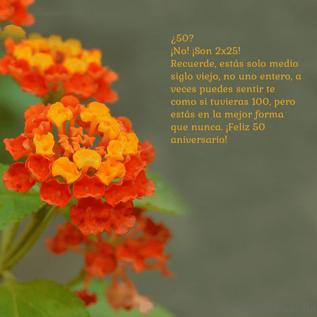 Tarjeta de cumpleaños con flores naranjas ¿50?
¡No! ¡Son 2x25!
Recuerde, estás solo medio si Tarjeta de cumpleaños con flores naranjas