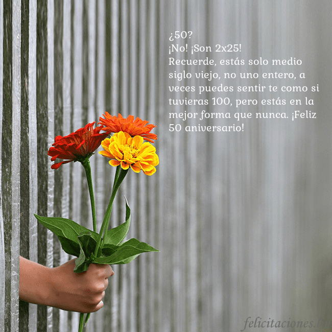 Tarjeta electrónica con ramo de flores ¿50?
¡No! ¡Son 2x25!
Recuerde, estás solo medio si Tarjeta electrónica con ramo de flores