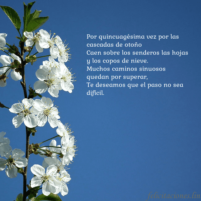 Tarjeta de cumpleaños con flores de primavera Por quincuagésima vez por las cascadas de otoño
Ca Tarjeta de cumpleaños con flores de primavera