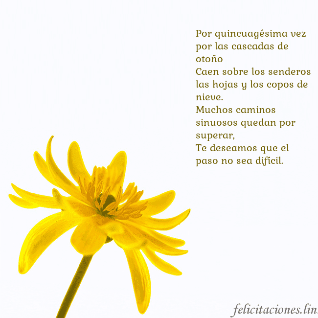 Tarjeta de cumpleaños con flor amarilla Por quincuagésima vez por las cascadas de otoño
Ca Tarjeta de cumpleaños con flor amarilla