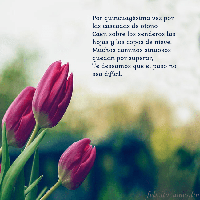 Tarjeta de cumpleaños con tres tulipanes rojos Por quincuagésima vez por las cascadas de otoño
Ca Tarjeta de cumpleaños con tres tulipanes rojos
