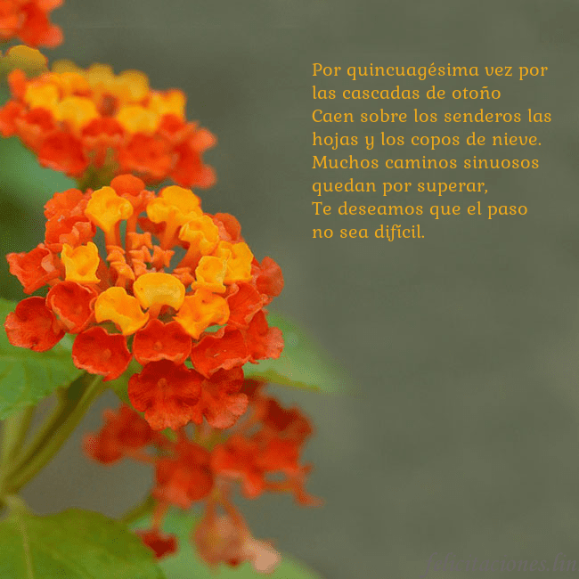 Tarjeta de cumpleaños con flores naranjas Por quincuagésima vez por las cascadas de otoño
Ca Tarjeta de cumpleaños con flores naranjas