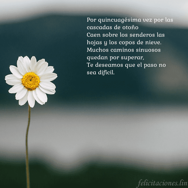 Tarjeta electrónica con margarita Por quincuagésima vez por las cascadas de otoño
Ca Tarjeta electrónica con margarita