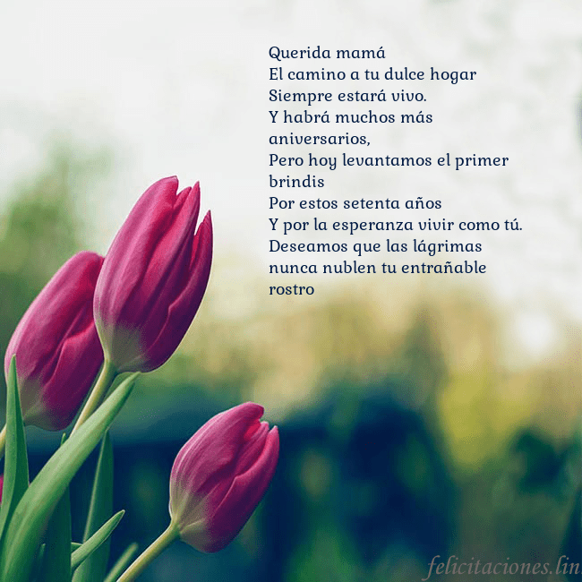Tarjeta de cumpleaños con tres tulipanes rojos