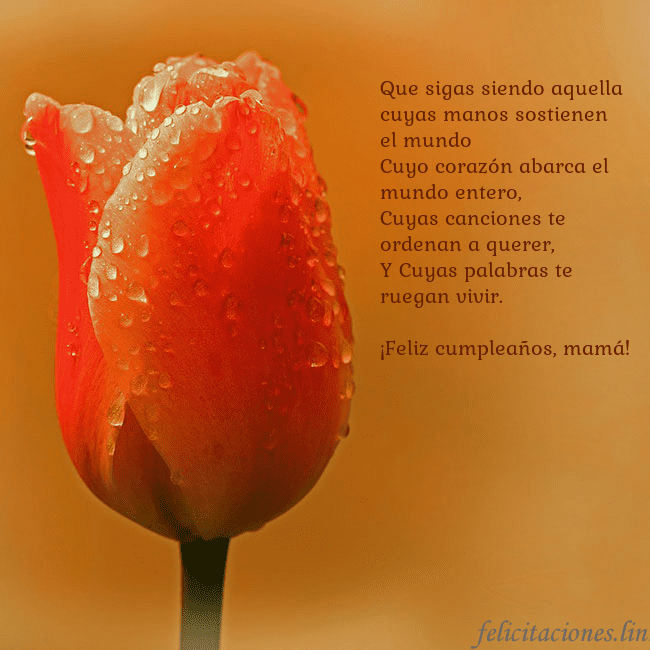 Tarjeta de cumpleaños con tulipán rojo Que sigas siendo aquella cuyas manos sostienen el Tarjeta de cumpleaños con tulipán rojo