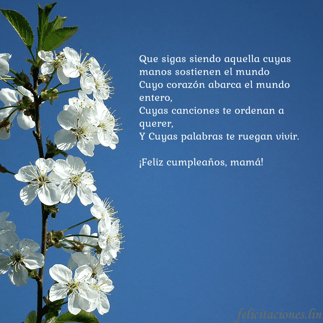 Tarjeta de cumpleaños con flores de primavera Que sigas siendo aquella cuyas manos sostienen el Tarjeta de cumpleaños con flores de primavera