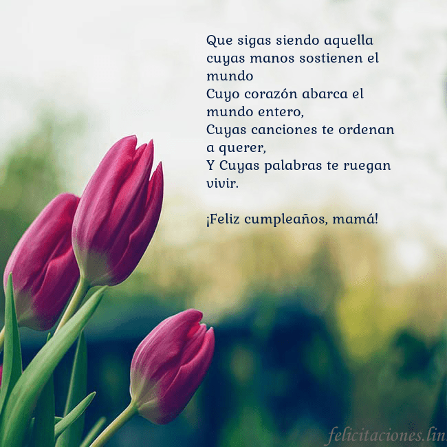 Tarjeta de cumpleaños con tres tulipanes rojos Que sigas siendo aquella cuyas manos sostienen el Tarjeta de cumpleaños con tres tulipanes rojos