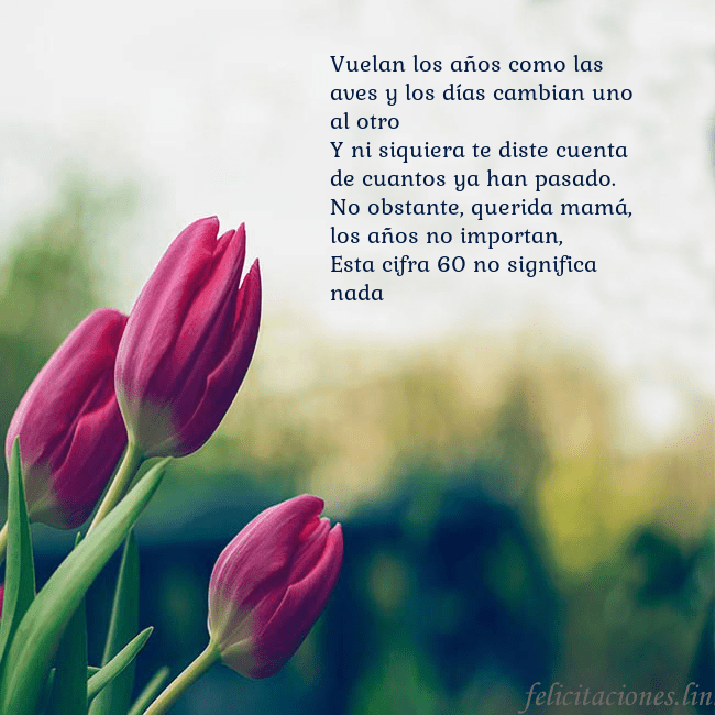Tarjeta de cumpleaños con tres tulipanes rojos Vuelan los años como las aves y los días cambian u Tarjeta de cumpleaños con tres tulipanes rojos