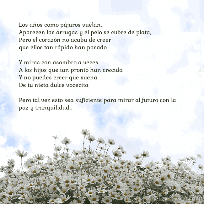 Tarjeta de cumpleaños con margaritas