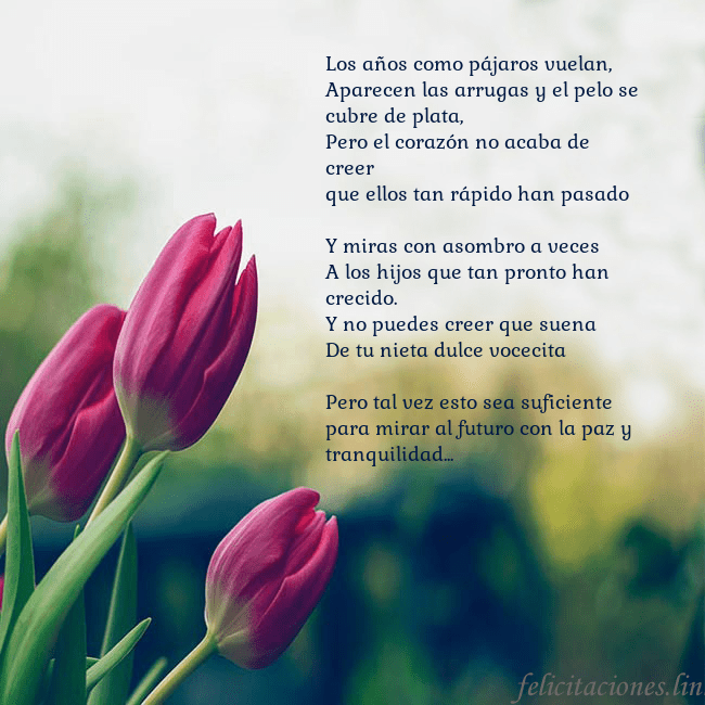 Tarjeta de cumpleaños con tres tulipanes rojos