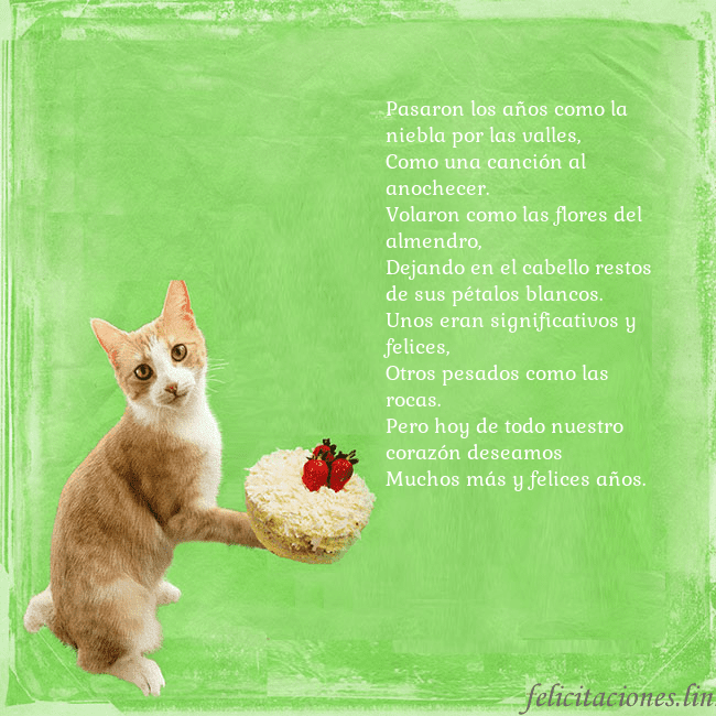 Tarjeta de cumpleaños con gato y pastel de cumpleaños