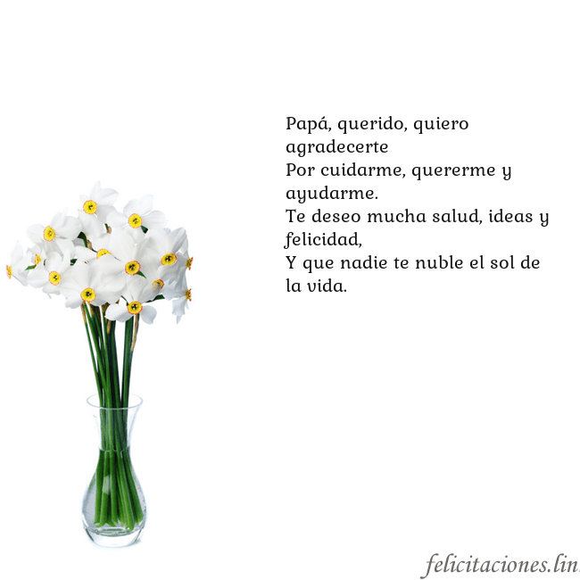 Tarjeta con narcisos