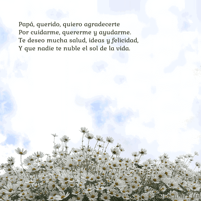 Tarjeta de cumpleaños con margaritas