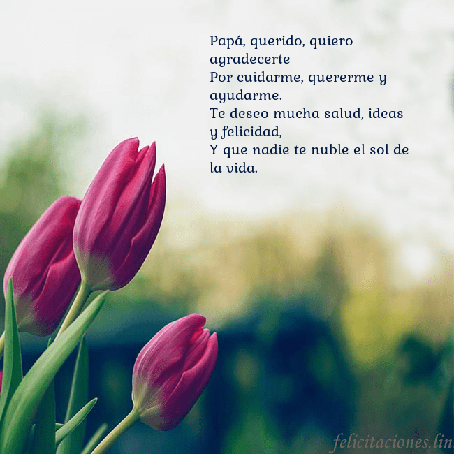 Tarjeta de cumpleaños con tres tulipanes rojos Papá, querido, quiero agradecerte
Por cuidarme, qu Tarjeta de cumpleaños con tres tulipanes rojos