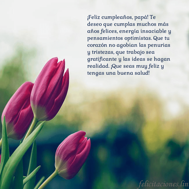 Tarjeta de cumpleaños con tres tulipanes rojos ¡Feliz cumpleaños, papá! Te deseo que cumplas much Tarjeta de cumpleaños con tres tulipanes rojos