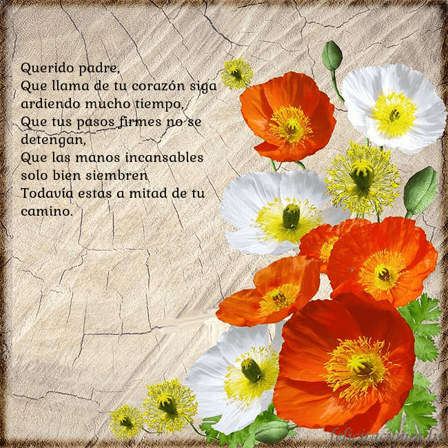 Tarjeta de cumpleaños con amapolas Querido padre, 
Que llama de tu corazón siga ardie Tarjeta de cumpleaños con amapolas