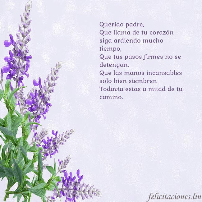Tarjeta de cumpleaños con altramuces azules Querido padre,
Que llama de tu corazón siga ardie Tarjeta de cumpleaños con altramuces azules