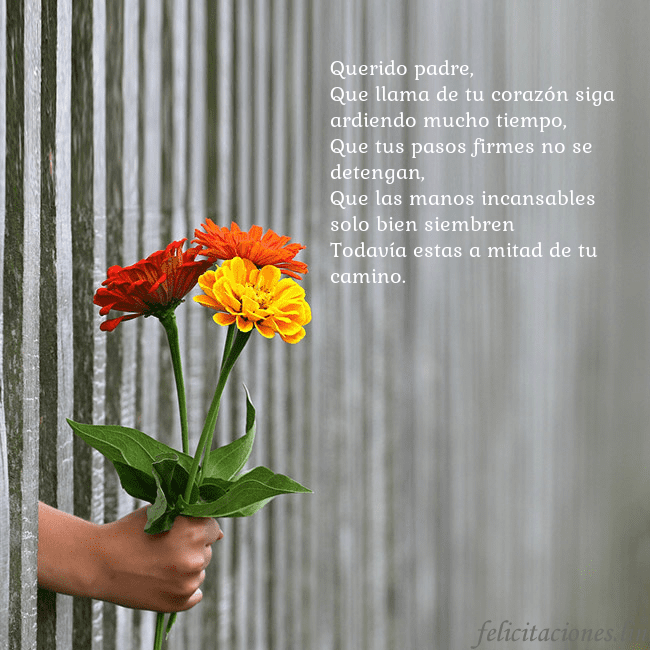 Tarjeta electrónica con ramo de flores Querido padre,
Que llama de tu corazón siga ardie Tarjeta electrónica con ramo de flores