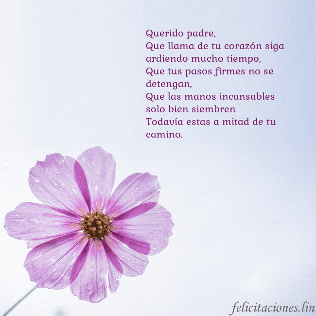 Tarjeta electrónica con flor morada Querido padre,
Que llama de tu corazón siga ardie Tarjeta electrónica con flor morada