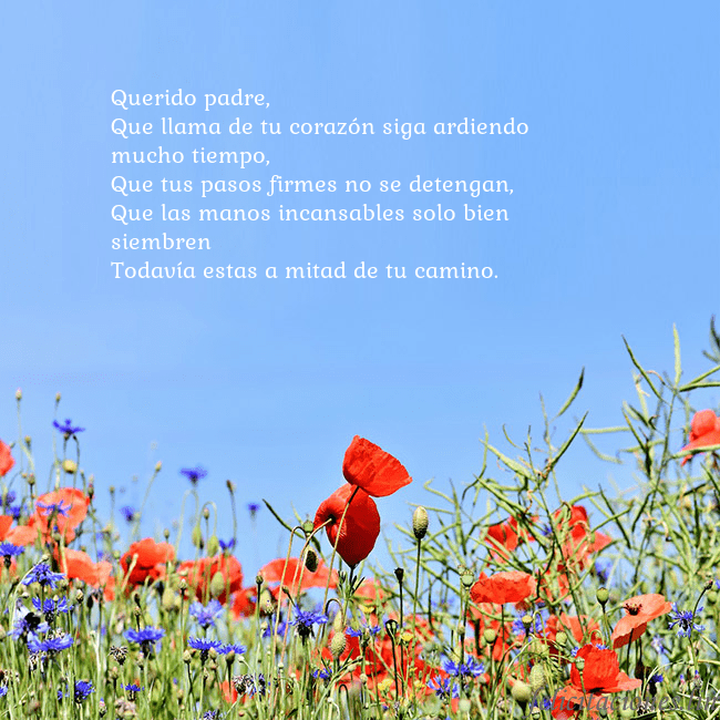 Gimtadienio atvirukas su aguonomis Querido padre,
Que llama de tu corazón siga ardie Gimtadienio atvirukas su aguonomis