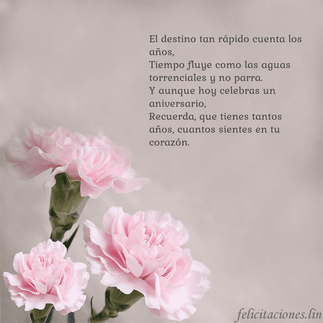 Tarjeta de cumpleaños con claveles rosas