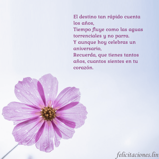 Tarjeta electrónica con flor morada El destino tan rápido cuenta los años,
Tiempo flu Tarjeta electrónica con flor morada