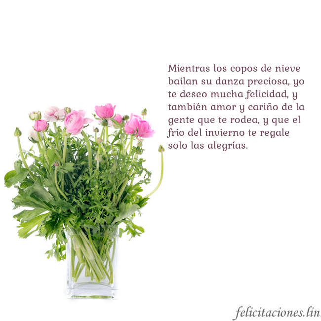 Tarjeta con flores en un jarrón Mientras los copos de nieve bailan su danza precio Tarjeta con flores en un jarrón