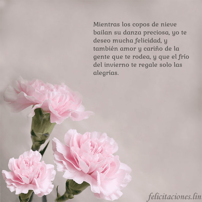 Tarjeta de cumpleaños con claveles rosas Mientras los copos de nieve bailan su danza precio Tarjeta de cumpleaños con claveles rosas