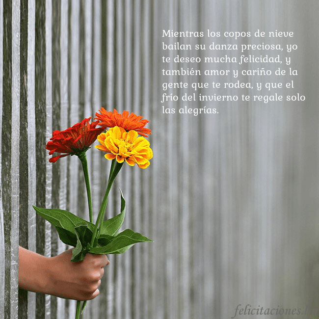 Tarjeta electrónica con ramo de flores Mientras los copos de nieve bailan su danza precio Tarjeta electrónica con ramo de flores