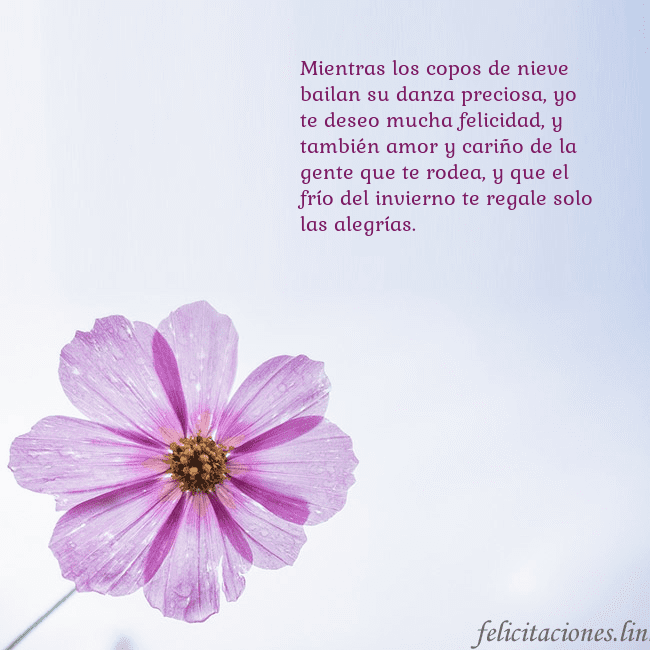 Tarjeta electrónica con flor morada Mientras los copos de nieve bailan su danza precio Tarjeta electrónica con flor morada